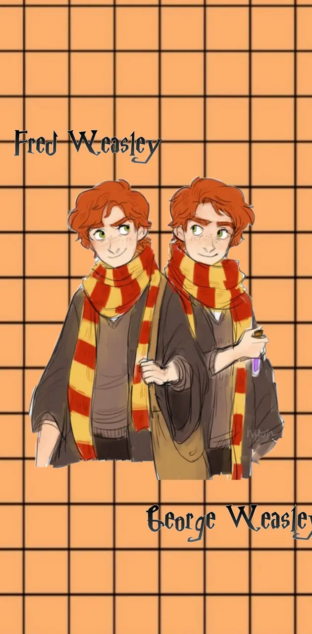 The Weasley Twins 