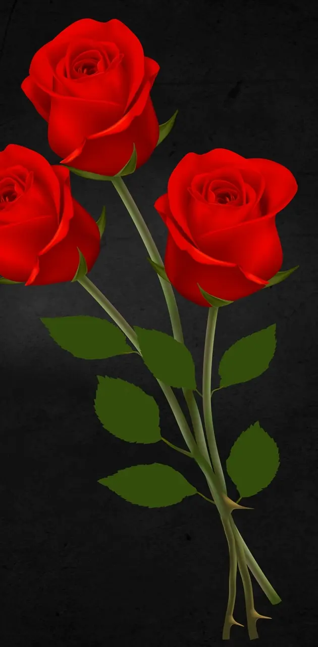 3d red roses