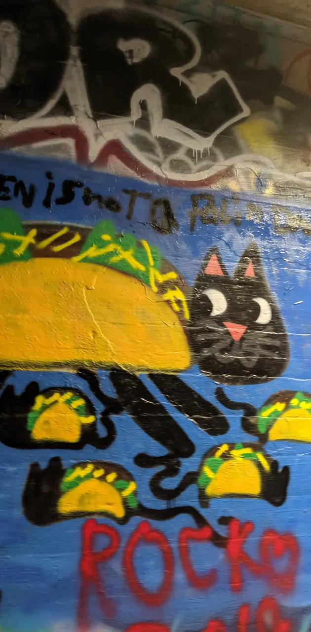 Taco cat