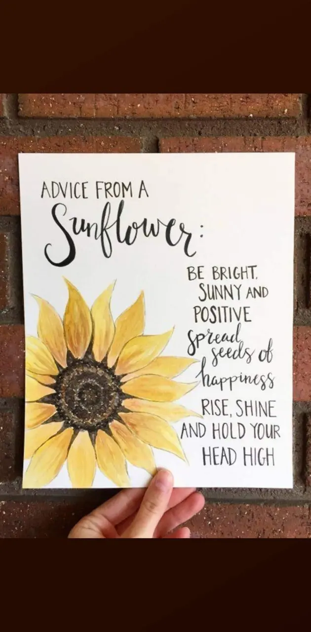 Advice frm sunflower