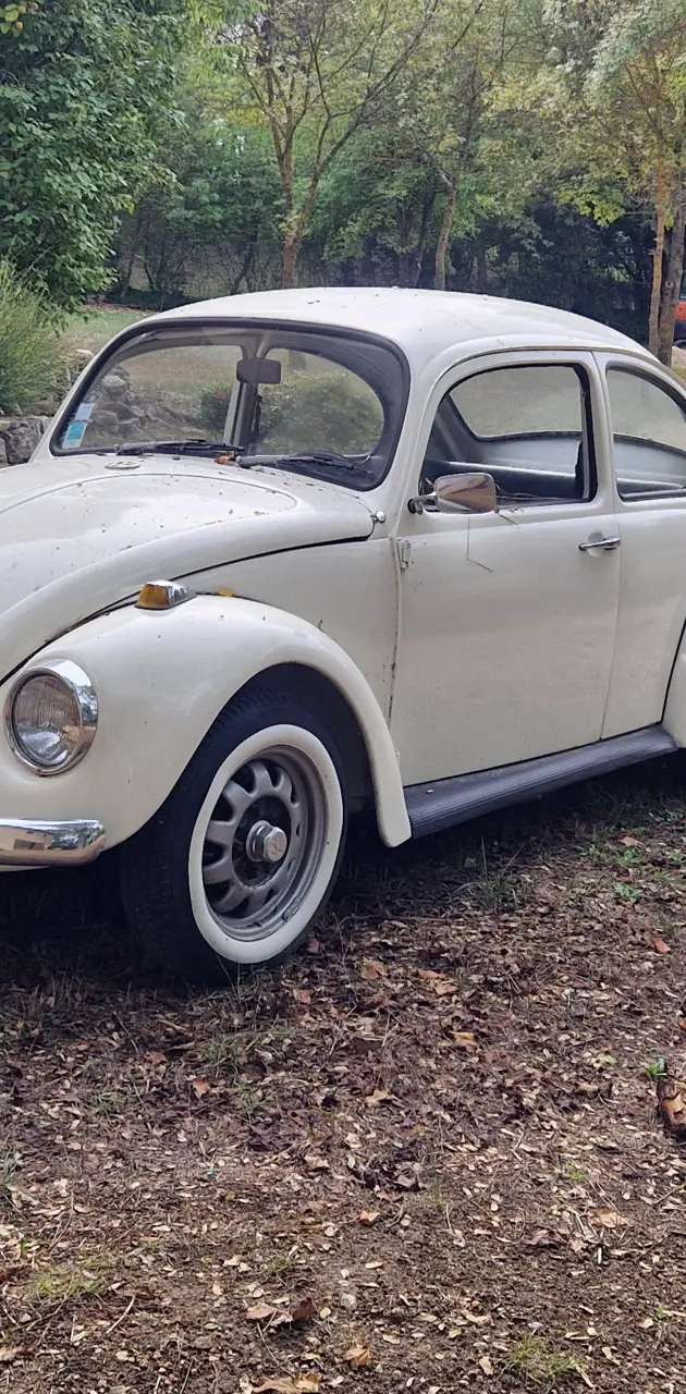Volkswagen beetle 