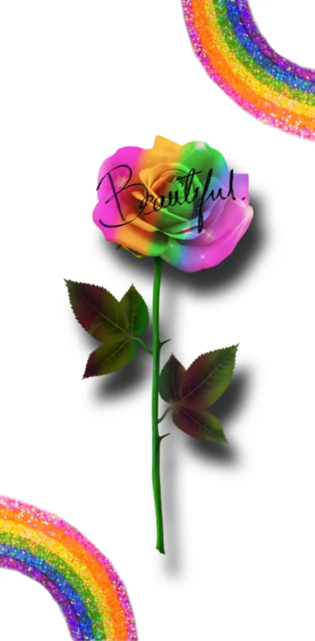 Rainbow Rose 