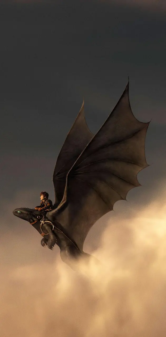 Toothless And Hiccup