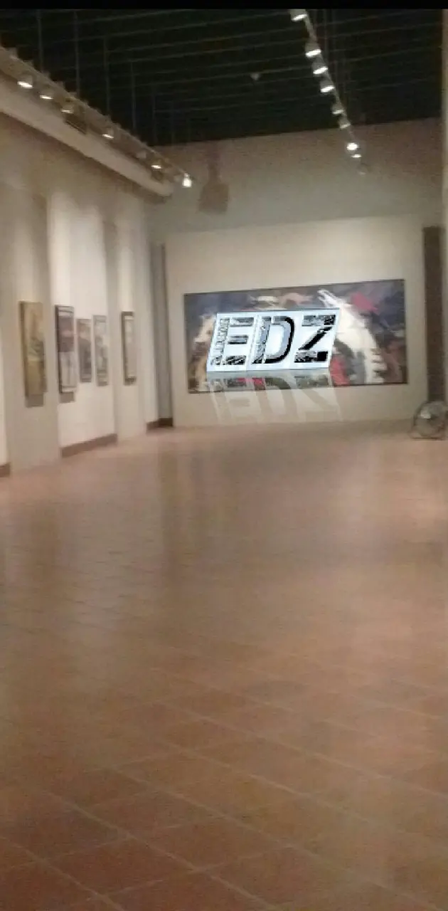 Museum EDZ Logo