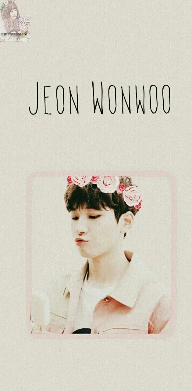 Seventeen Wonwoo