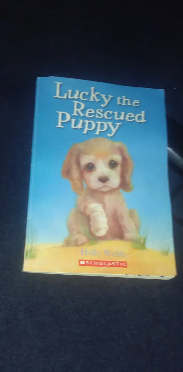 Puppy book covee