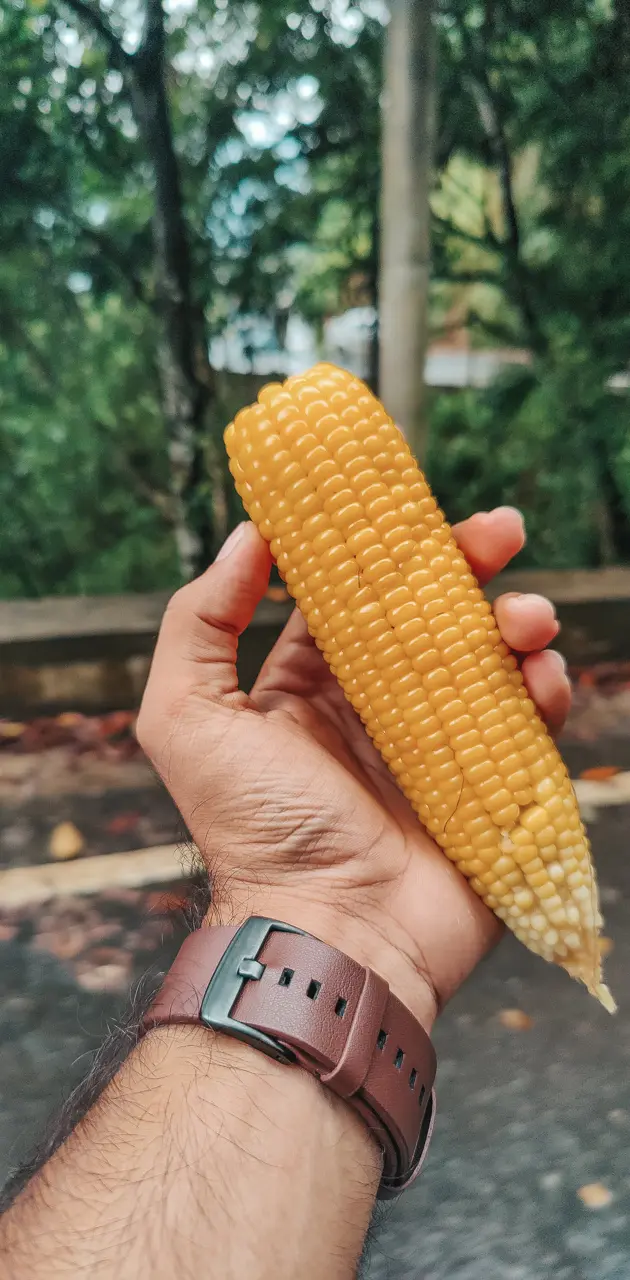 Corn on Hand