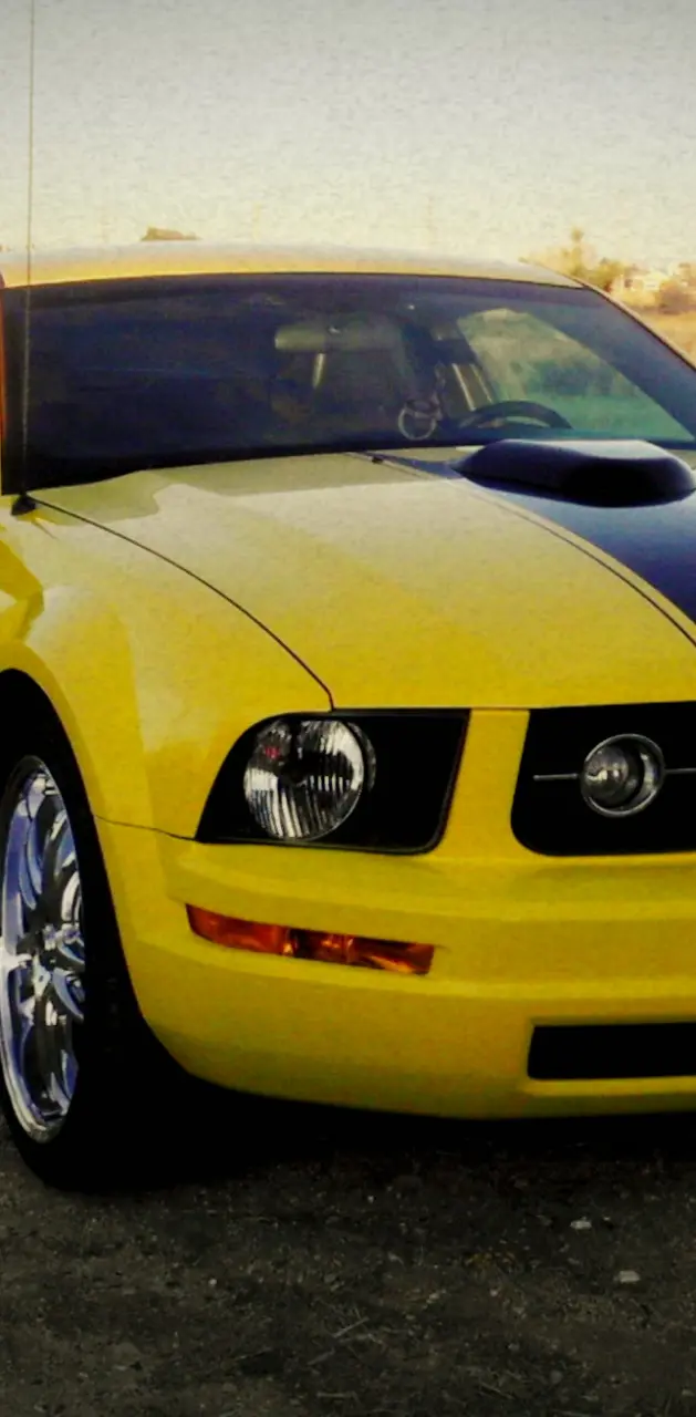 Mustang Yellow