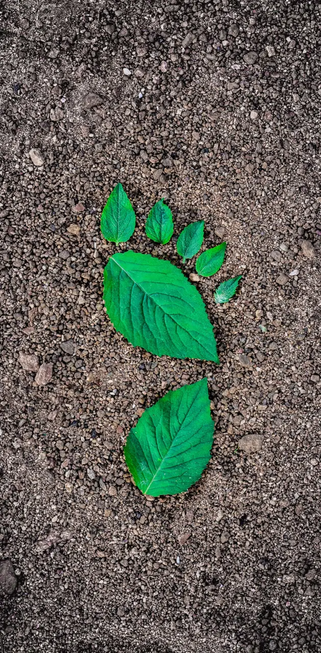 leaf feet
