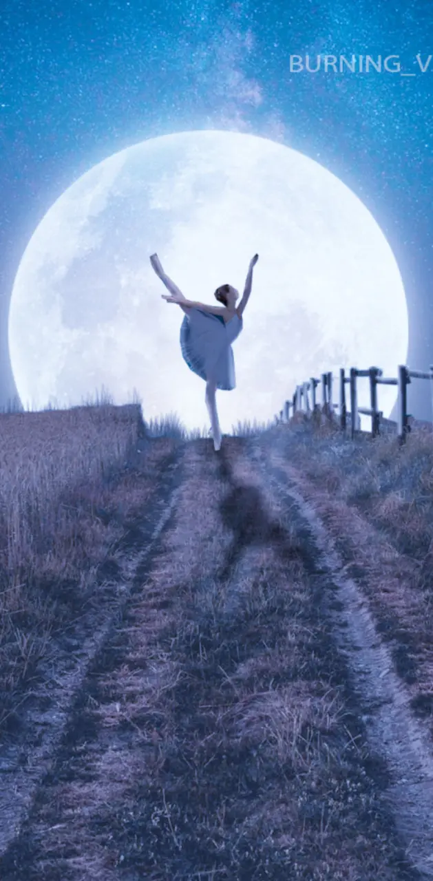 Moon Dancer 
