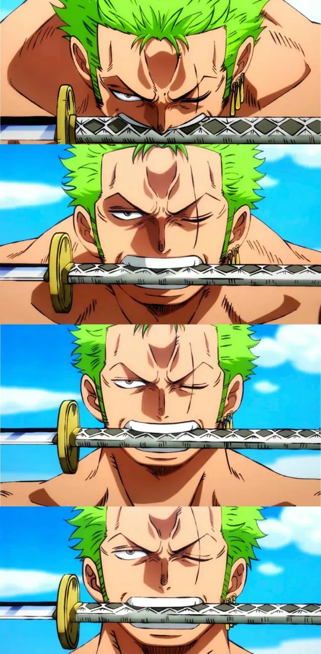 One Piece Zoro Wano