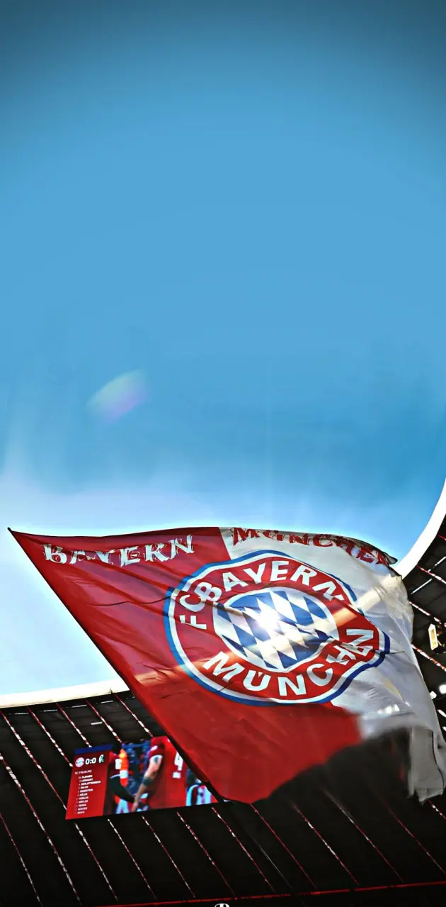 Bayern Fc_ Flag