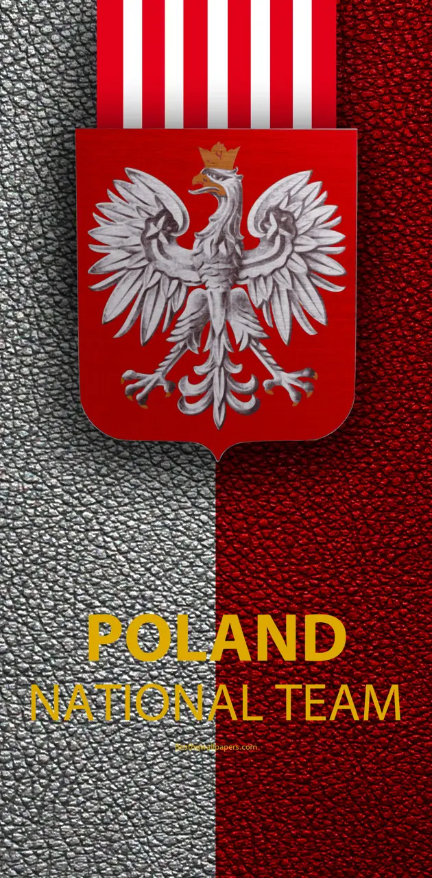 Poland Football