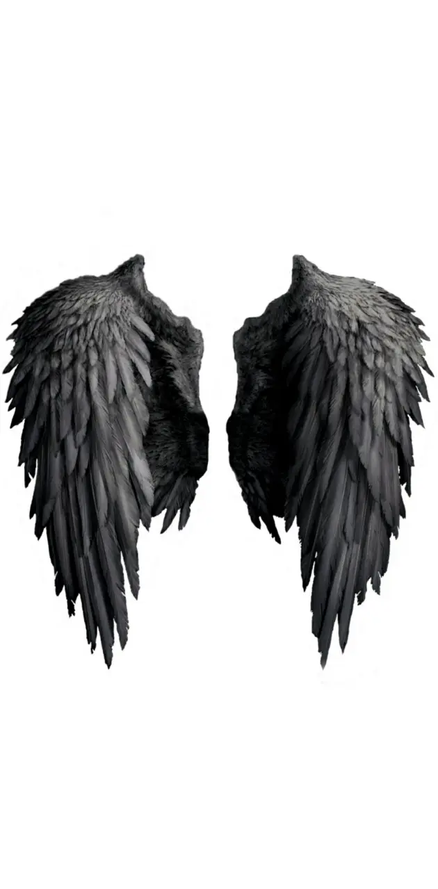 Download White Angel Black Devil Wings Picture