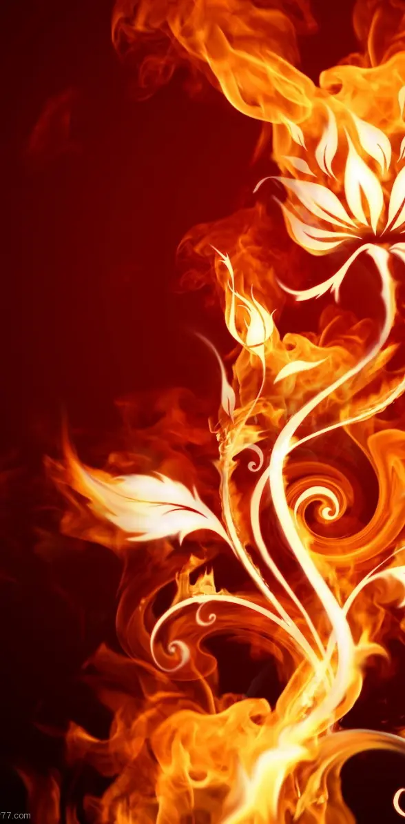 Hd Fire Flower