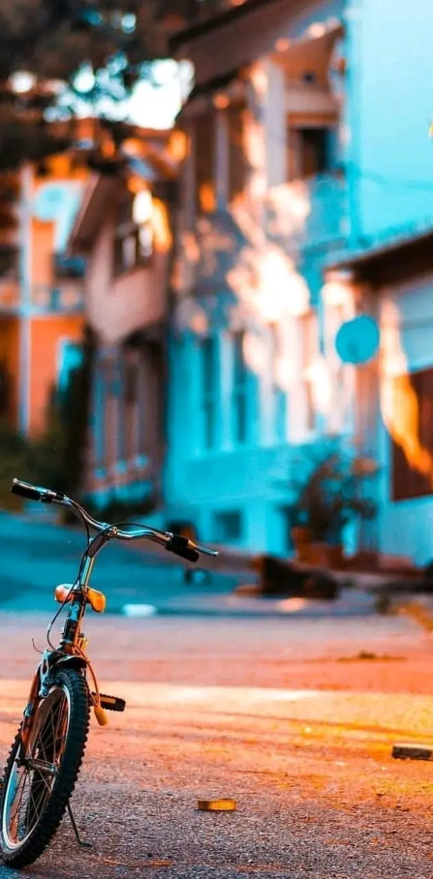 Cycle in night