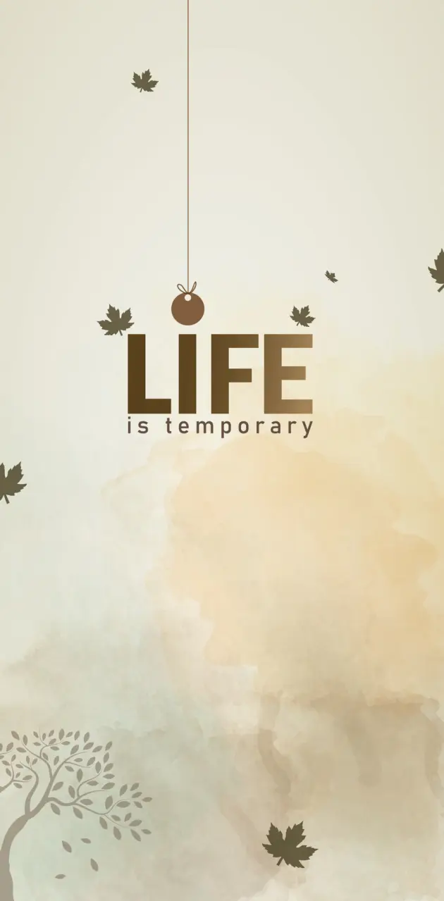 Life is Temporary