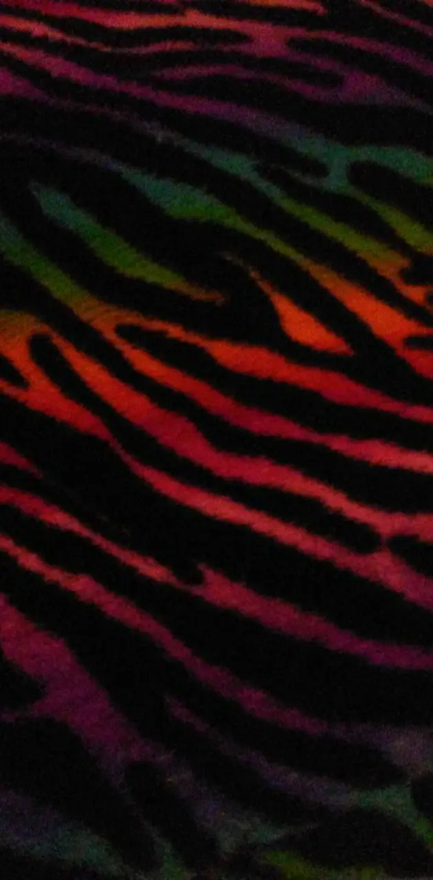 rainbow zebra print