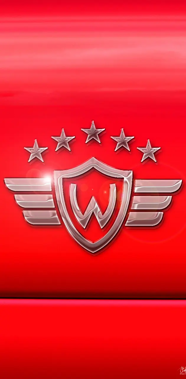 Wilster Car Badge
