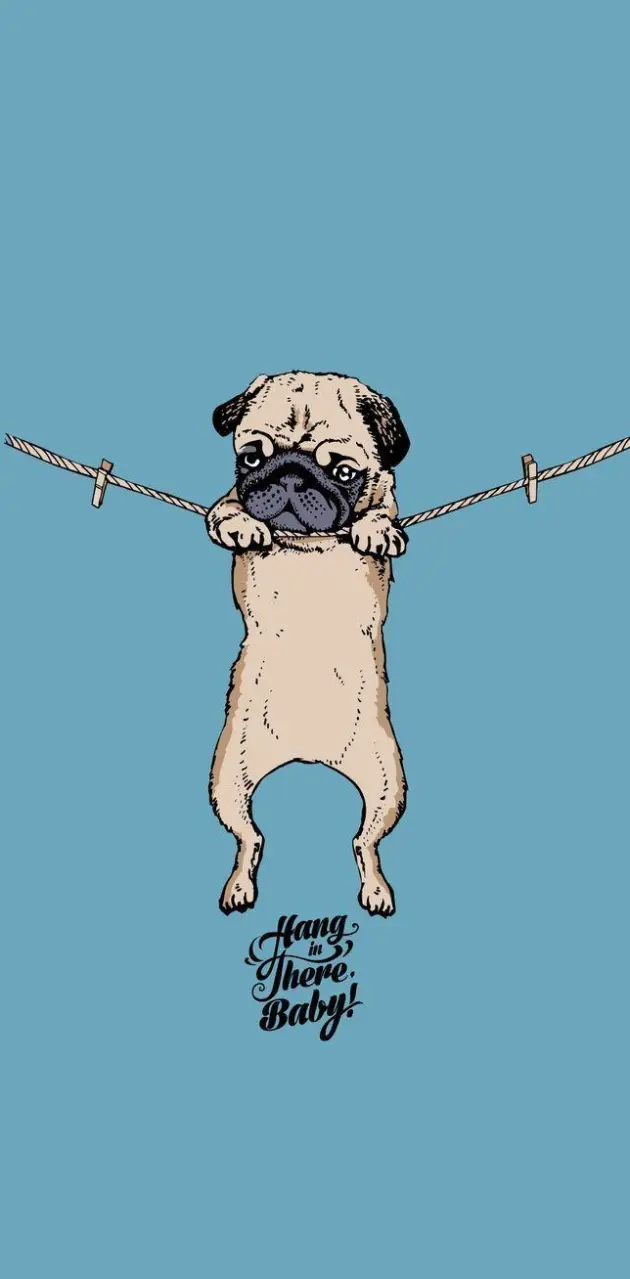 Pug hanging