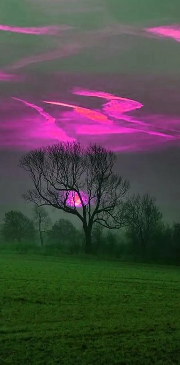 Purple Landscape