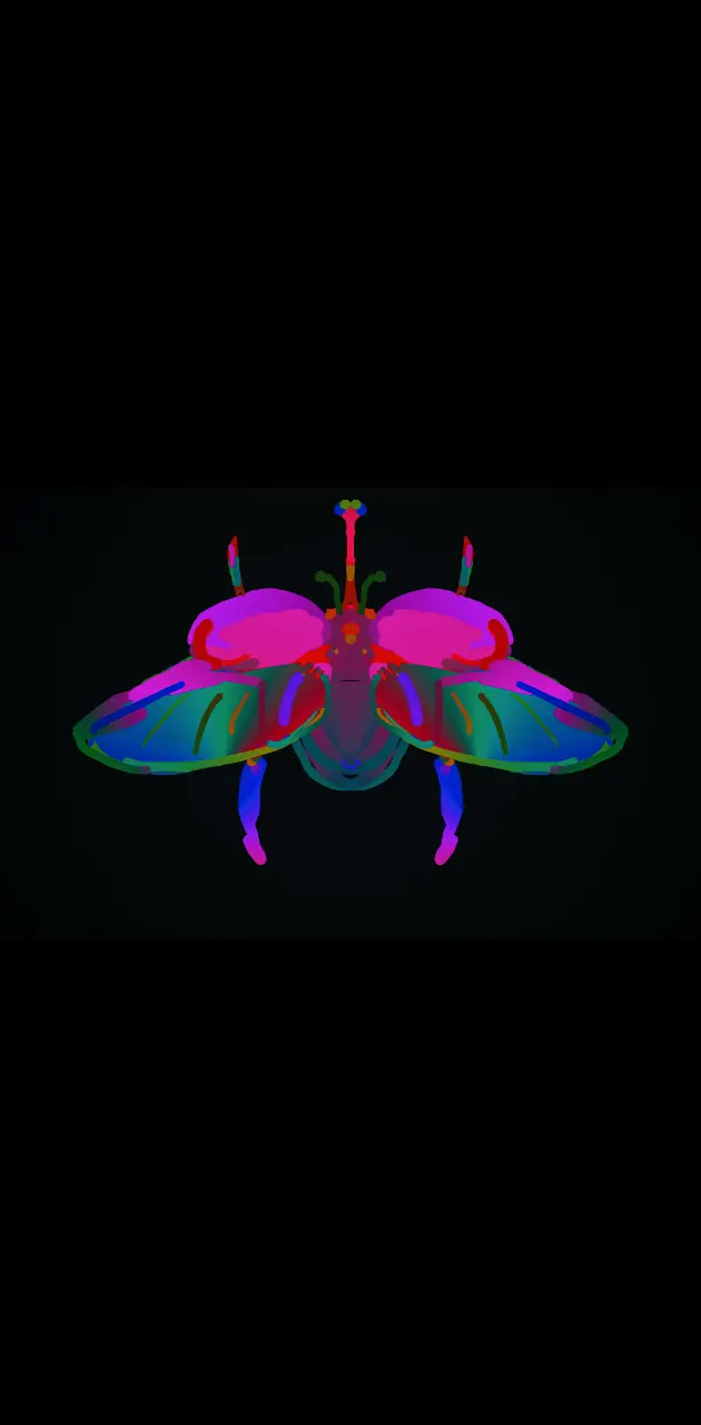 Color scarab beetle