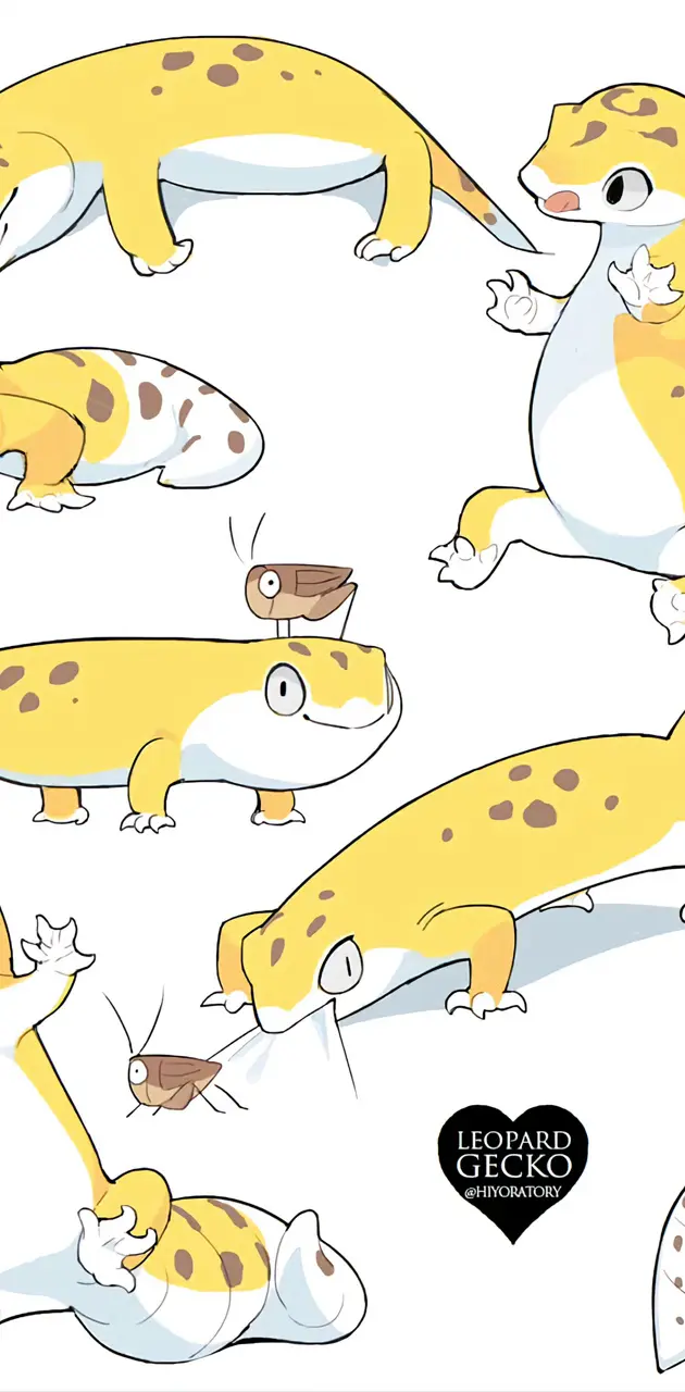 Geckos!!! :D
