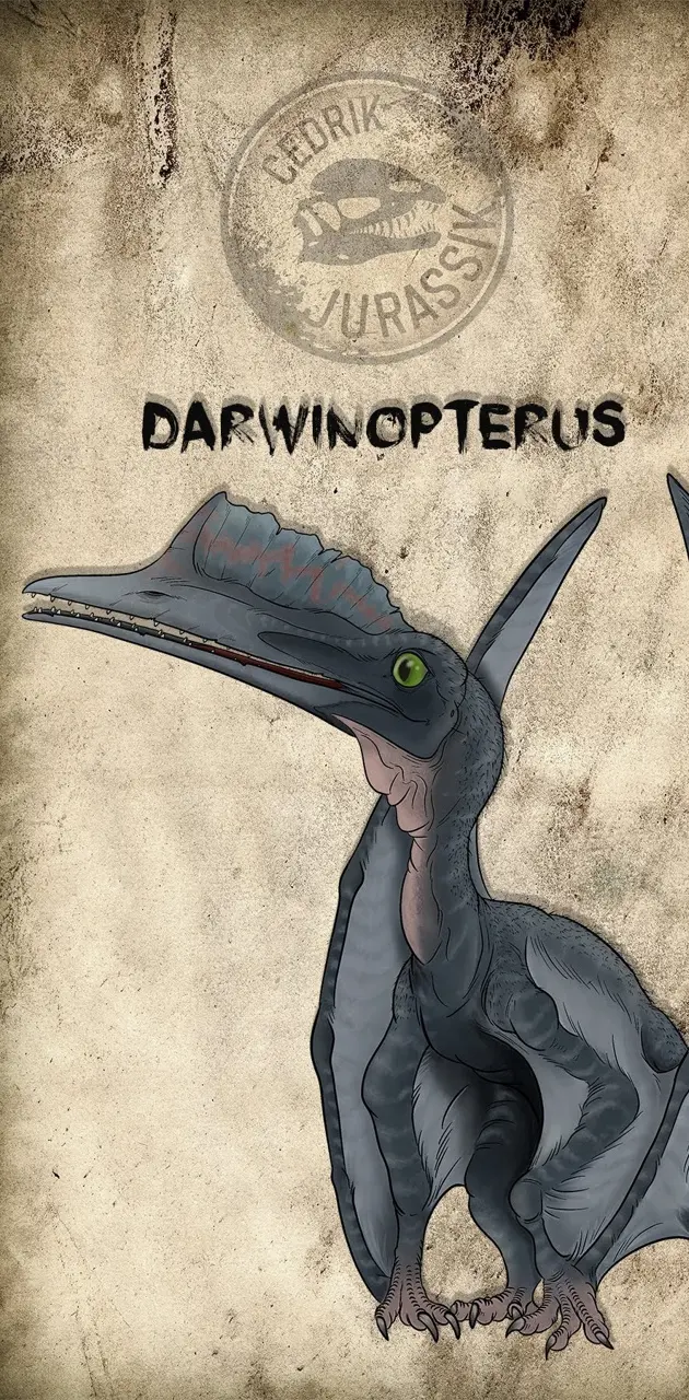 Darwinoterus