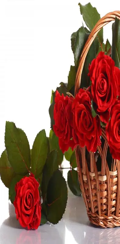 Roses Red Basket