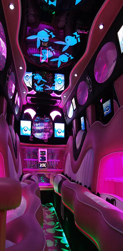 inside pink limo