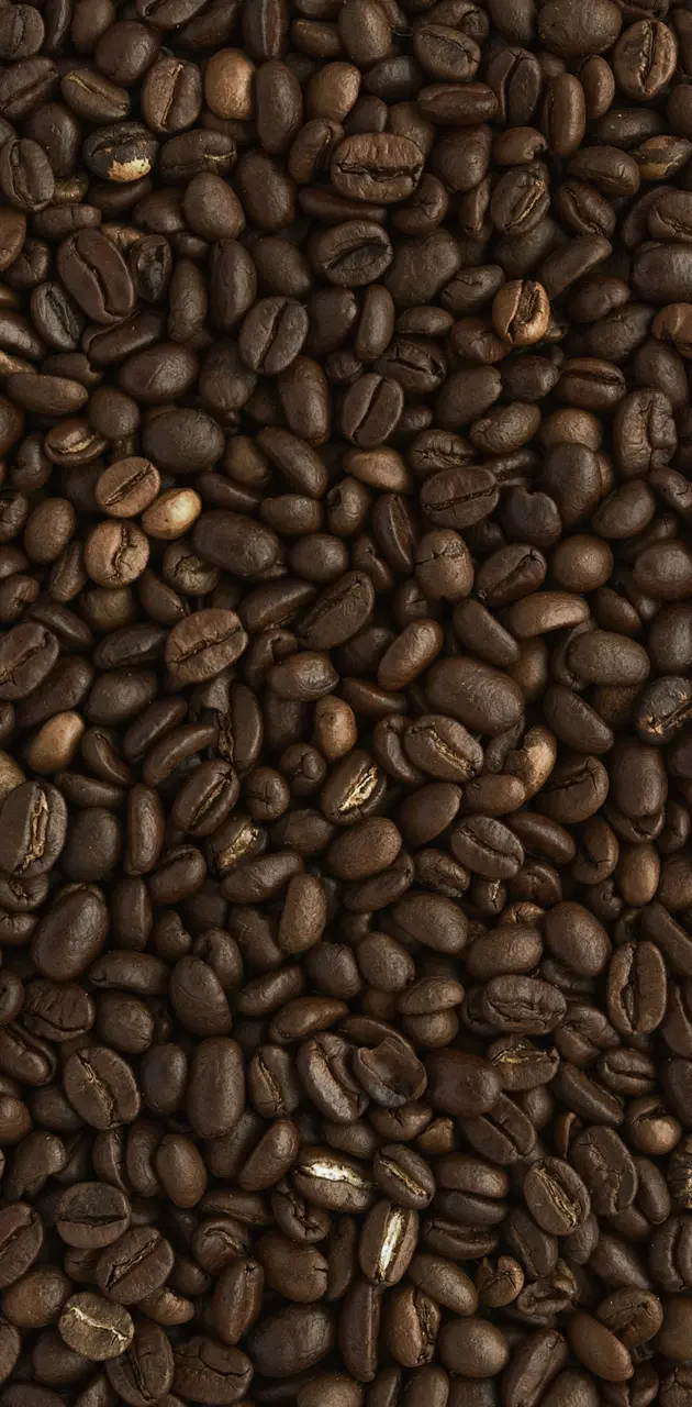 Coffee Beans HQ