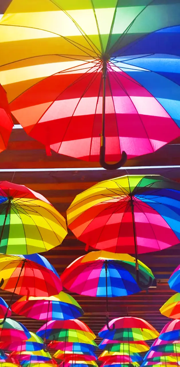 Colorful Umbrellas 4K 