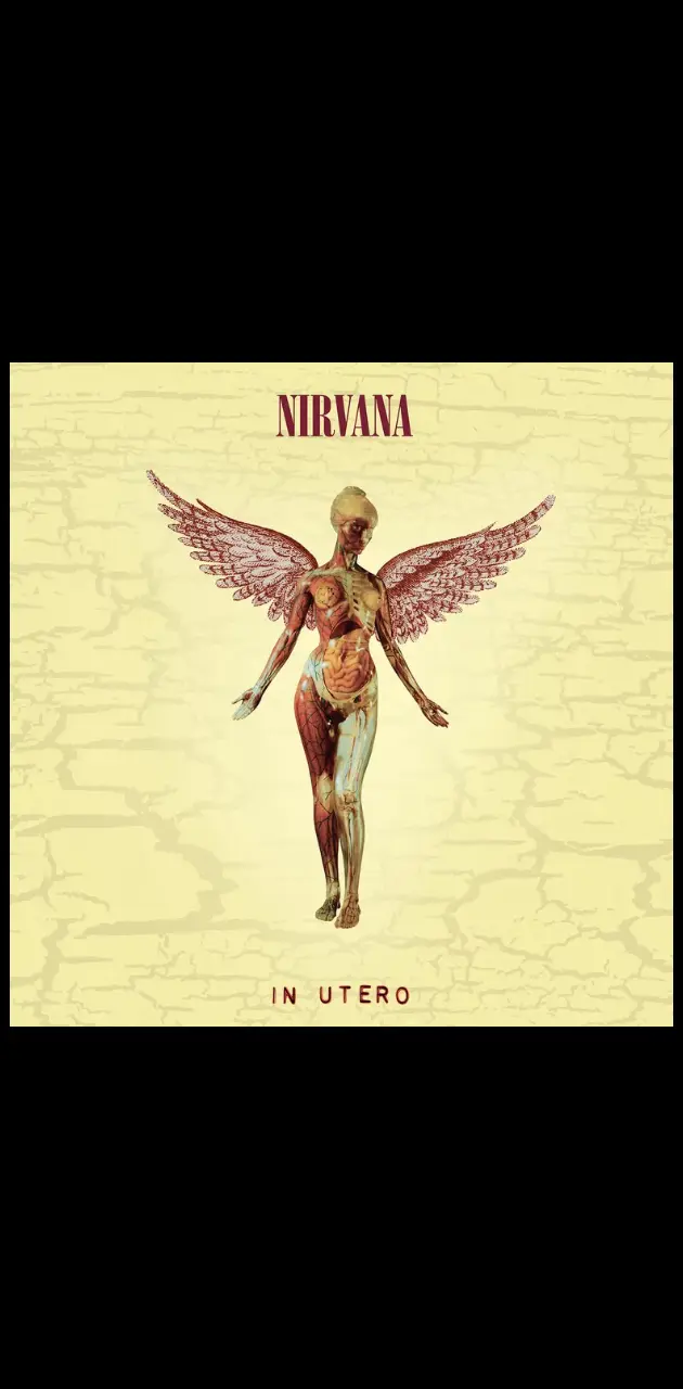 Nirvana In Utero 