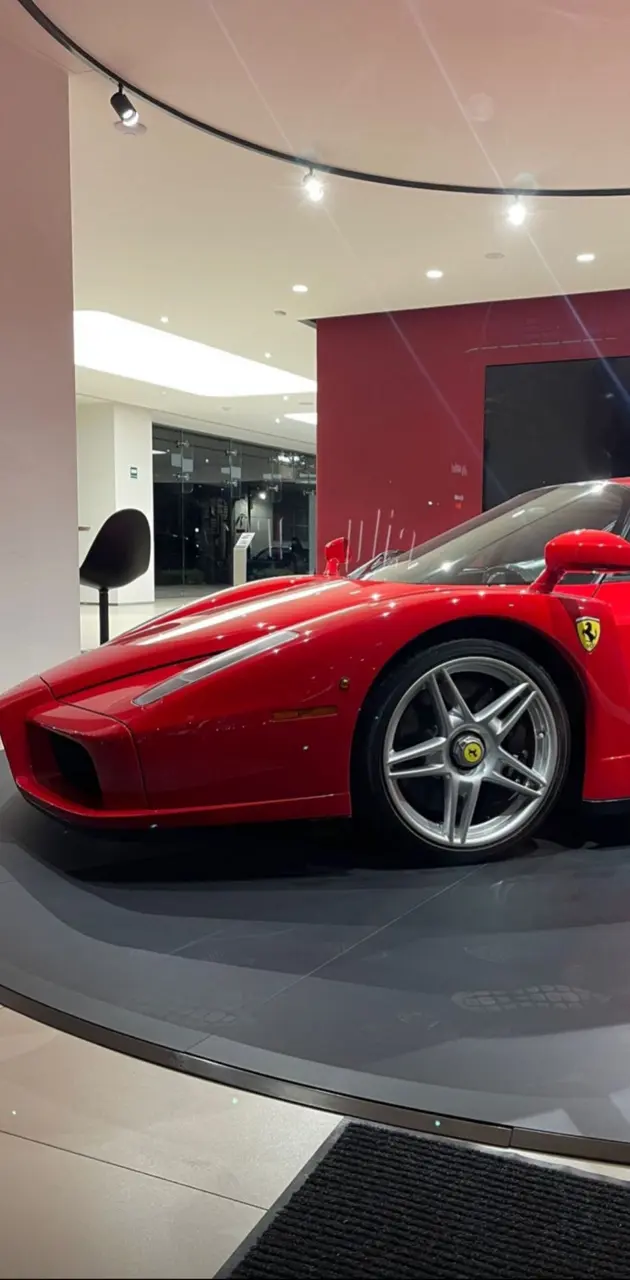 Ferrari Enzo Agencia 