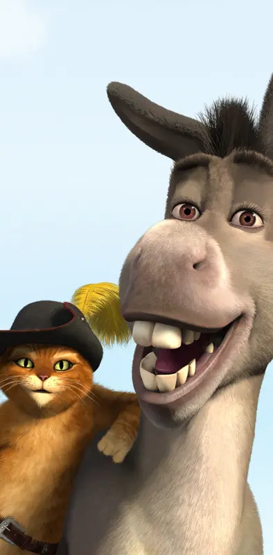 Donkey And Puss