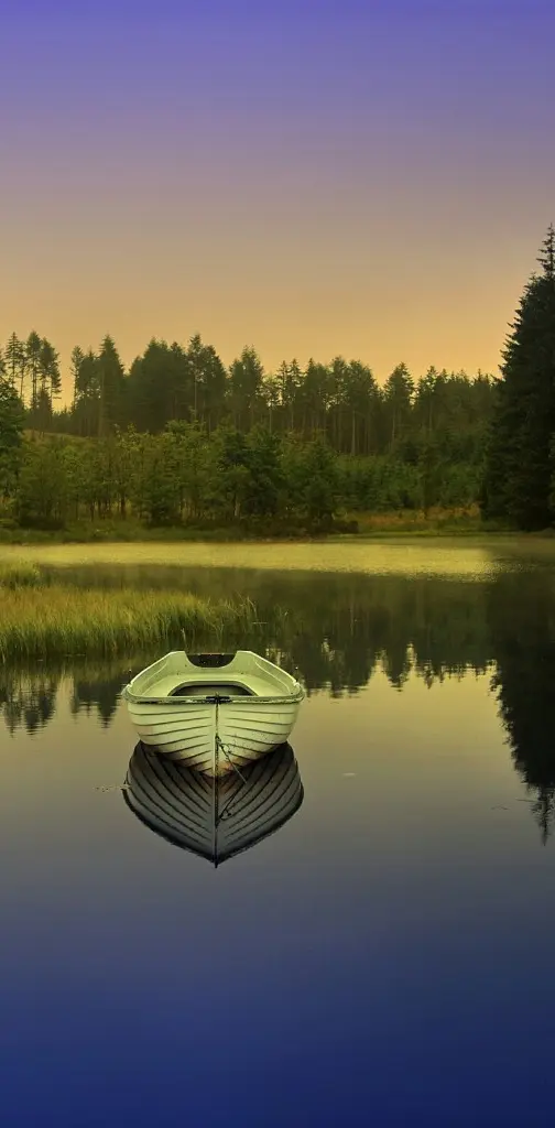 Forest Boat