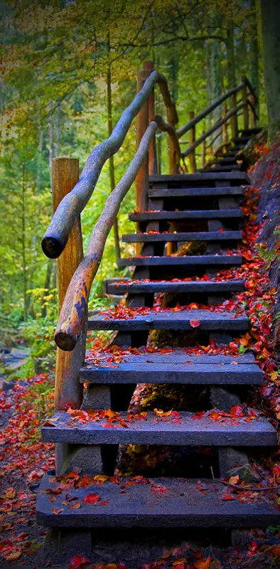 Stair To Hill