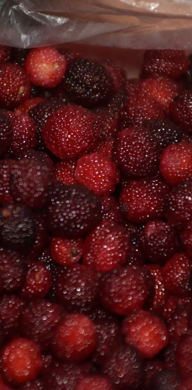 Fruits 