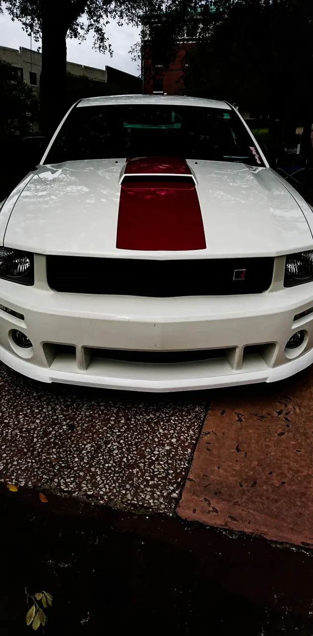 White muscle car