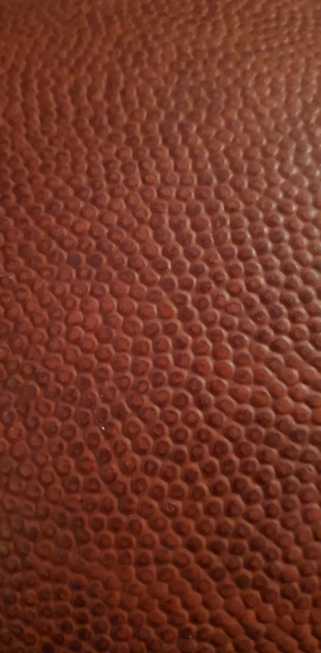 Basketball Leather 