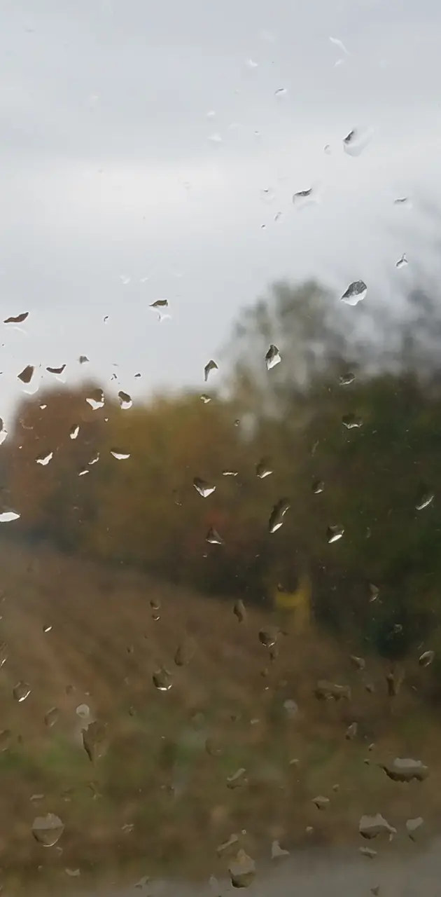 Autumn n Rain