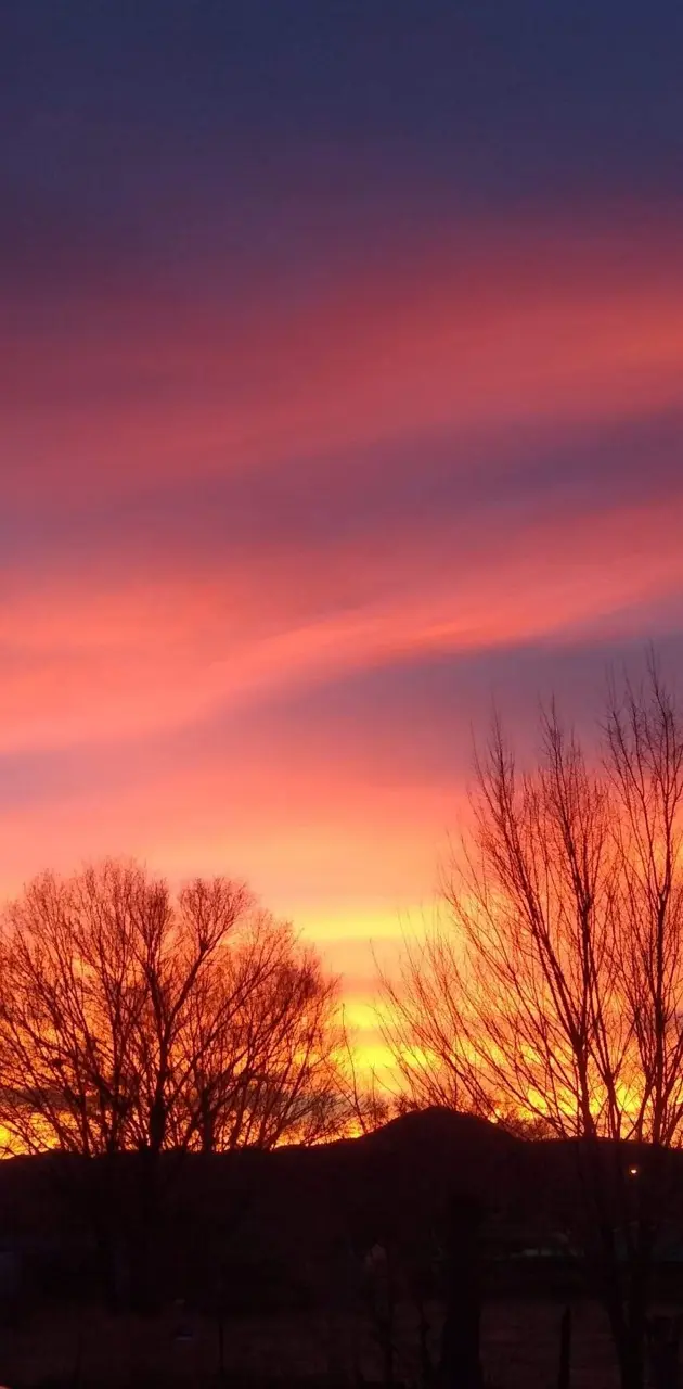 Colorado Sunset