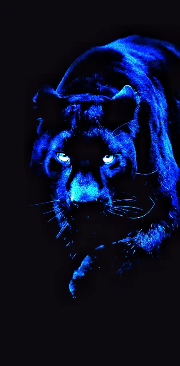 BLUE PANTHER