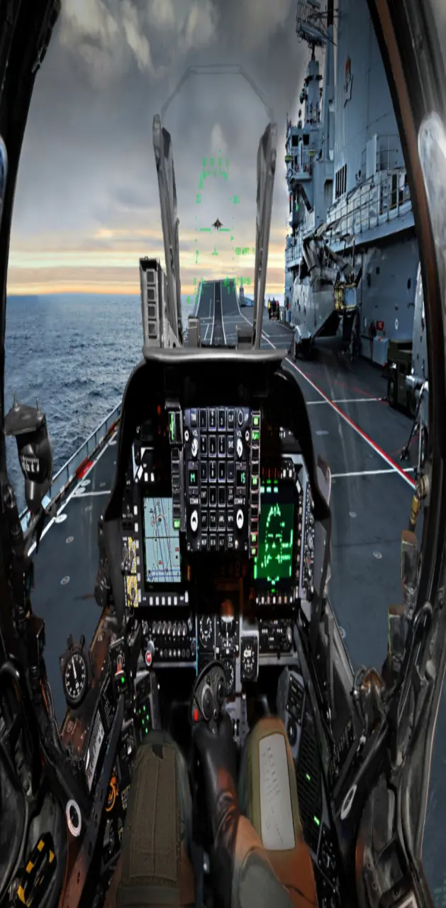 Cockpit carrier