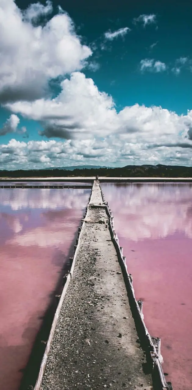 Cotton Candy Walkway