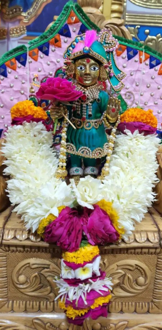 SwamiNarayan 