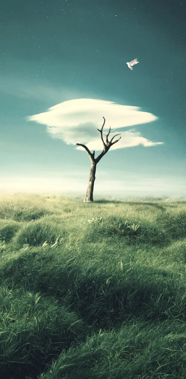 Cloud Tree