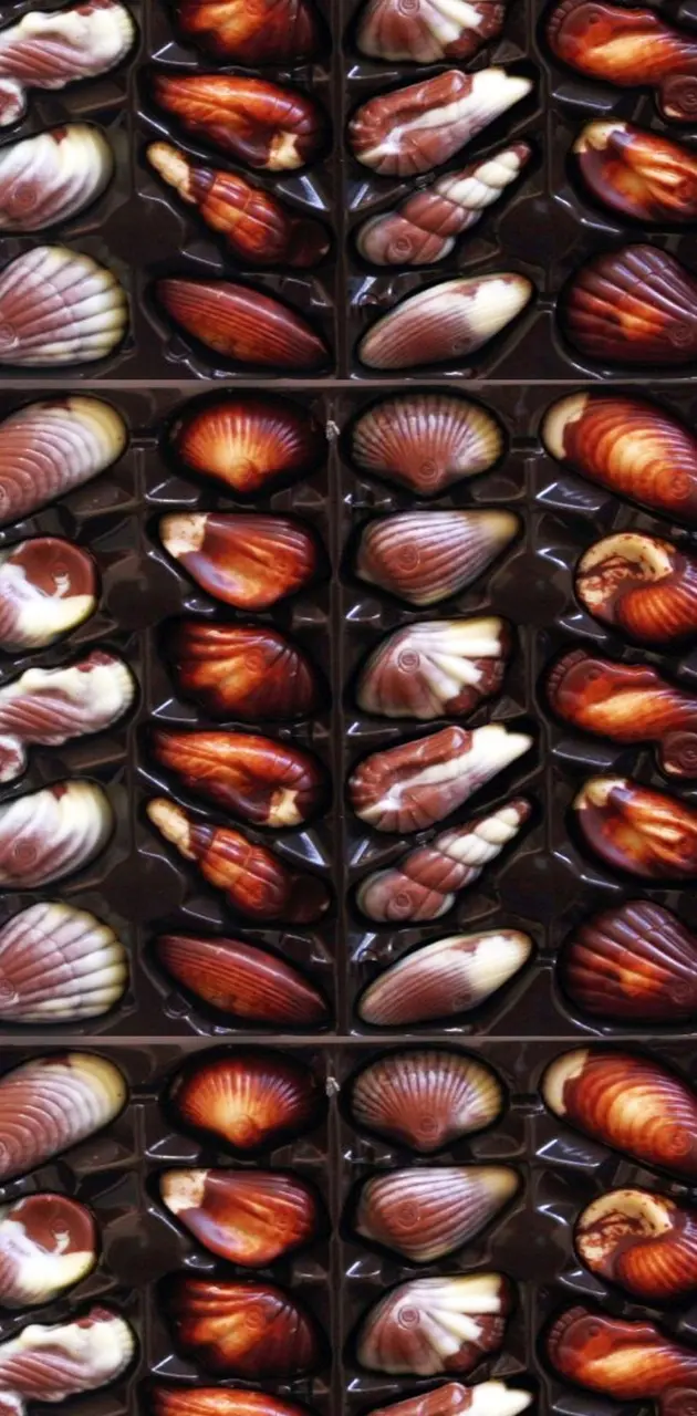 Praline Seashells