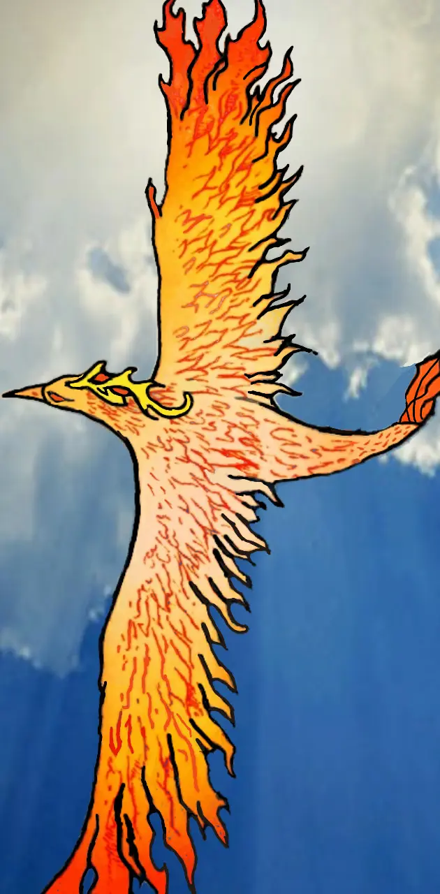 Flying Phoenix
