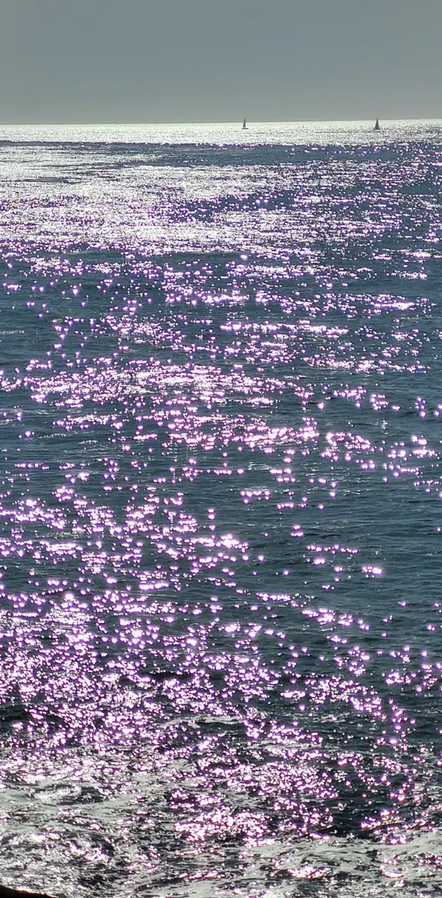 Purple Haze Ocean